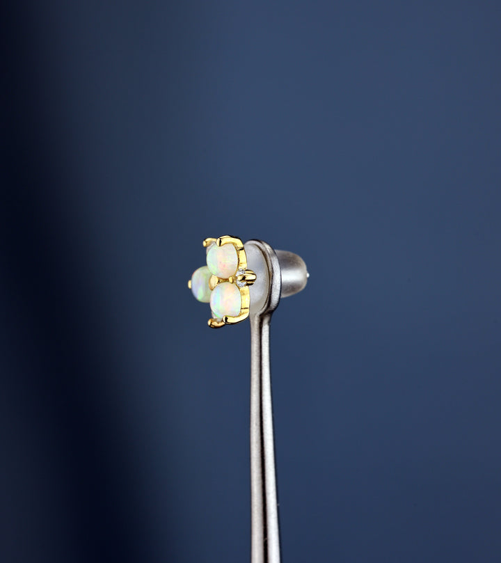 Piercing Preview Tool